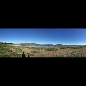 Meet your Posher, Huiyan